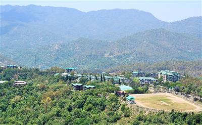 Over 1.5 lakh temperate fruit plants sold by Nauni varsity